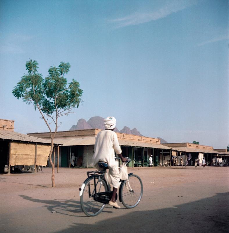 Color photograph of a man riding a bike away from the viewer