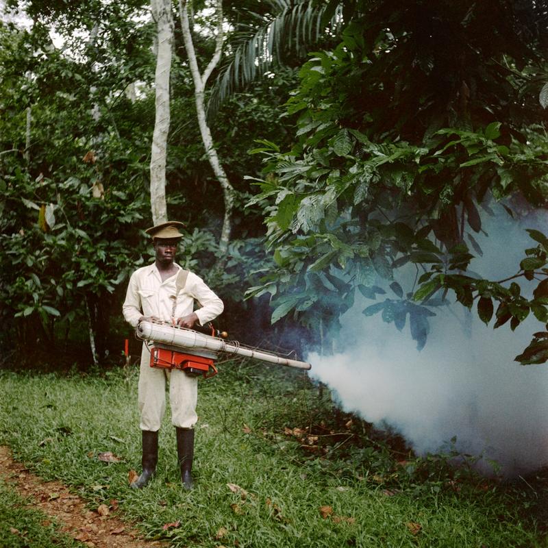 Color image of a man standing at the edge of the forest holding a device that is smoking out of one end